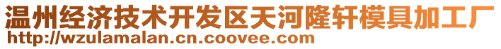 溫州經濟技術開發區天河隆軒模具加工廠