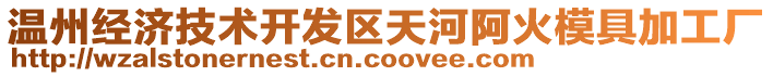 溫州經濟技術開發區天河阿火模具加工廠