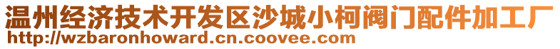 溫州經濟技術開發區沙城小柯閥門配件加工廠