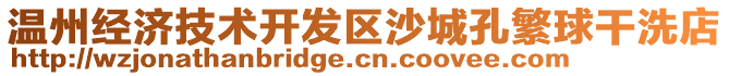 溫州經(jīng)濟技術開發(fā)區(qū)沙城孔繁球干洗店