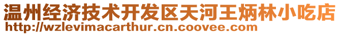 溫州經(jīng)濟(jì)技術(shù)開發(fā)區(qū)天河王炳林小吃店