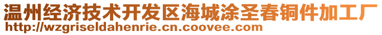 溫州經濟技術開發區海城涂圣春銅件加工廠
