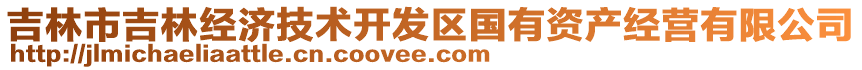 吉林市吉林經(jīng)濟(jì)技術(shù)開(kāi)發(fā)區(qū)國(guó)有資產(chǎn)經(jīng)營(yíng)有限公司