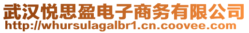 武漢悅思盈電子商務(wù)有限公司