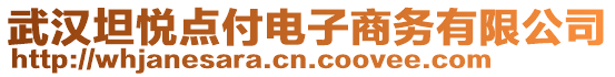 武漢坦悅點付電子商務有限公司