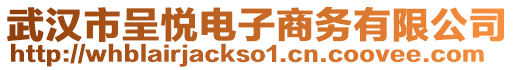 武漢市呈悅電子商務(wù)有限公司