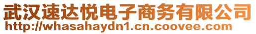 武漢速達悅電子商務有限公司