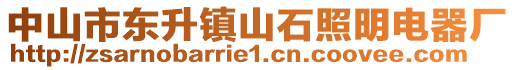 中山市東升鎮(zhèn)山石照明電器廠