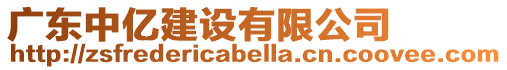 廣東中億建設(shè)有限公司