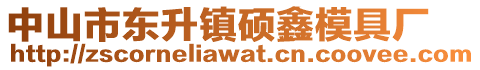 中山市東升鎮(zhèn)碩鑫模具廠