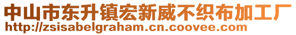 中山市東升鎮(zhèn)宏新威不織布加工廠