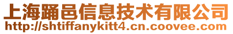 上海踊邑信息技术有限公司