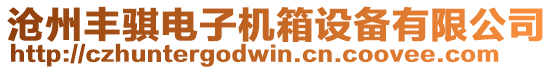 滄州豐騏電子機(jī)箱設(shè)備有限公司