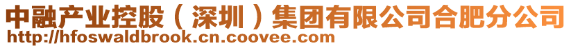 中融產業(yè)控股（深圳）集團有限公司合肥分公司