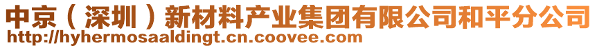 中京（深圳）新材料产业集团有限公司和平分公司