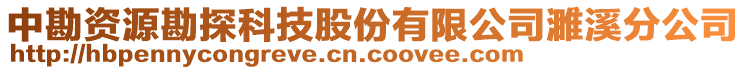 中勘資源勘探科技股份有限公司濉溪分公司