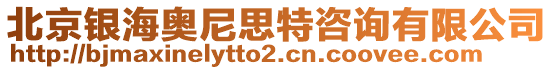 北京銀海奧尼思特咨詢有限公司