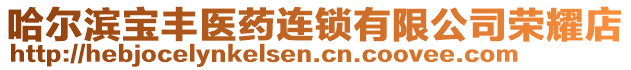 哈尔滨宝丰医药连锁有限公司荣耀店