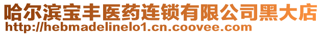 哈爾濱寶豐醫(yī)藥連鎖有限公司黑大店