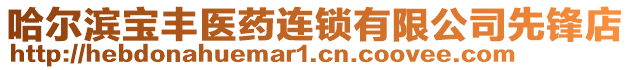 哈爾濱寶豐醫(yī)藥連鎖有限公司先鋒店