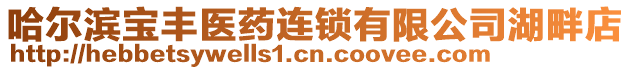 哈爾濱寶豐醫(yī)藥連鎖有限公司湖畔店