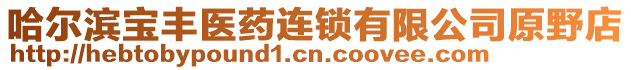 哈爾濱寶豐醫(yī)藥連鎖有限公司原野店