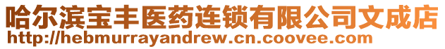 哈爾濱寶豐醫(yī)藥連鎖有限公司文成店