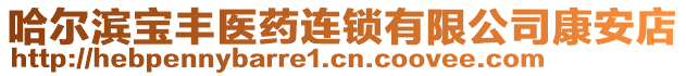 哈爾濱寶豐醫(yī)藥連鎖有限公司康安店