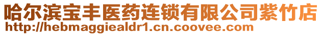 哈爾濱寶豐醫(yī)藥連鎖有限公司紫竹店