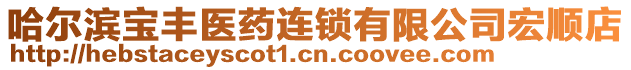 哈爾濱寶豐醫(yī)藥連鎖有限公司宏順店