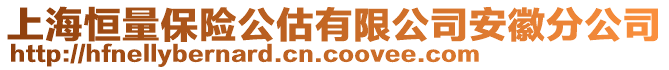 上海恒量保险公估有限公司安徽分公司