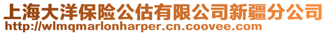 上海大洋保险公估有限公司新疆分公司