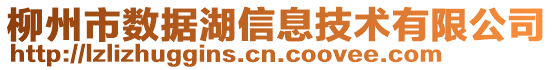 柳州市数据湖信息技术有限公司