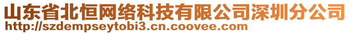 山东省北恒网络科技有限公司深圳分公司