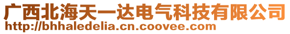 广西北海天一达电气科技有限公司