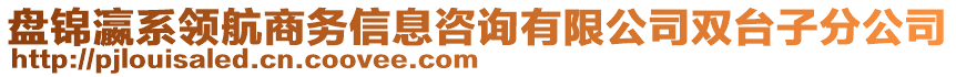 盤錦瀛系領(lǐng)航商務(wù)信息咨詢有限公司雙臺(tái)子分公司