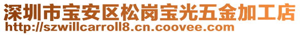 深圳市宝安区松岗宝光五金加工店