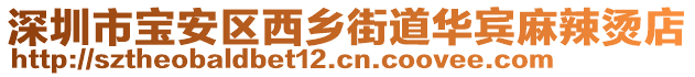 深圳市寶安區(qū)西鄉(xiāng)街道華賓麻辣燙店