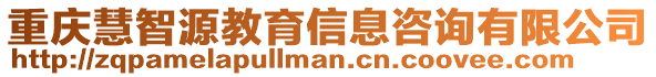 重慶慧智源教育信息咨詢(xún)有限公司