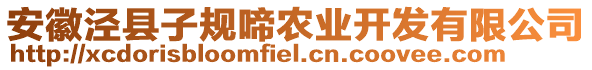 安徽涇縣子規(guī)啼農(nóng)業(yè)開發(fā)有限公司