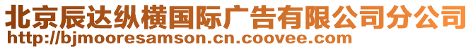 北京辰達縱橫國際廣告有限公司分公司