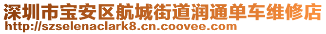 深圳市寶安區(qū)航城街道潤通單車維修店