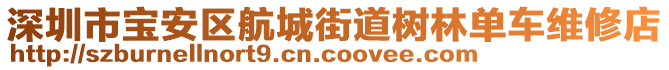 深圳市寶安區(qū)航城街道樹林單車維修店