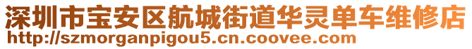 深圳市寶安區(qū)航城街道華靈單車維修店