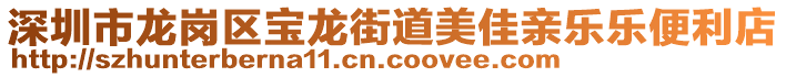 深圳市龍崗區(qū)寶龍街道美佳親樂樂便利店