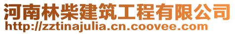 河南林柴建筑工程有限公司