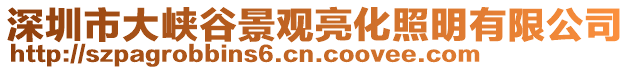 深圳市大峽谷景觀亮化照明有限公司