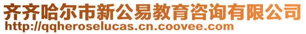 齊齊哈爾市新公易教育咨詢有限公司