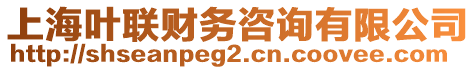 上海葉聯(lián)財務咨詢有限公司