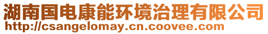 湖南國(guó)電康能環(huán)境治理有限公司